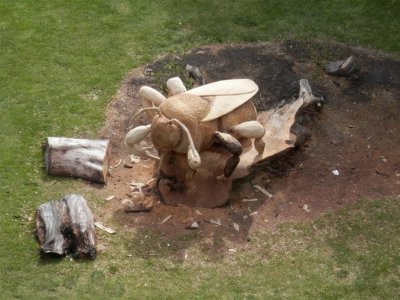 Bee carved from fallen oak tree