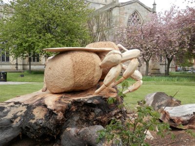 Bee carved from fallen oak tree, Chesterfield Church