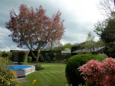 Tannery House garden, Thursday pm