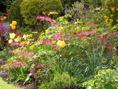 Tannery House garden