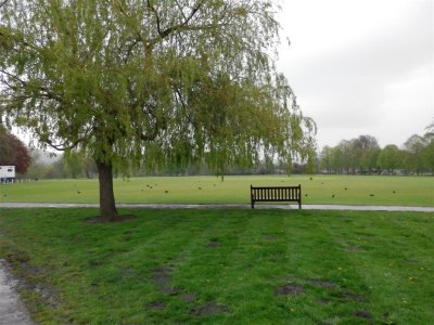 Not many in the park in the rain
