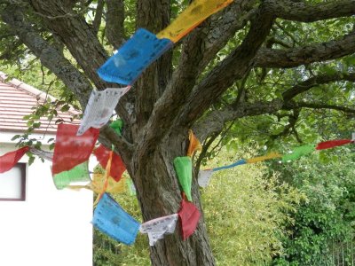 Nepalese flags in Hatherley Park