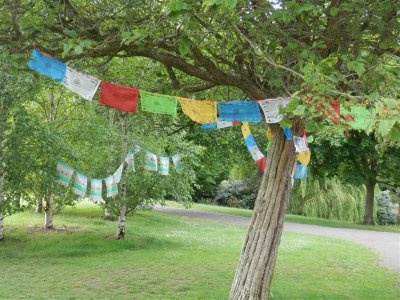 Nepalese flags in Hatherley Park