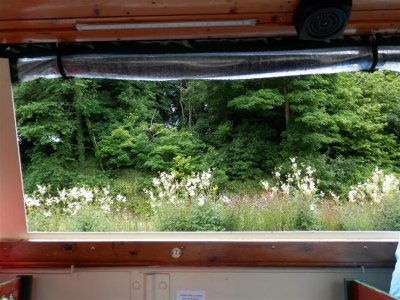 On board Birdswood at Cromford Canal