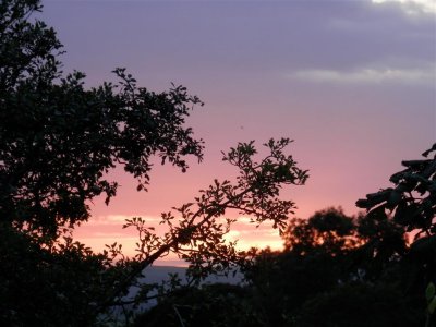 Brief sunset shot from the side of a very busy road