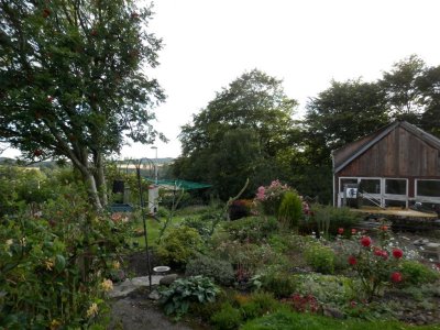 Garden view