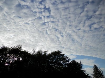 Pretty skies