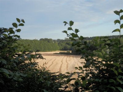 View across to Cumledge
