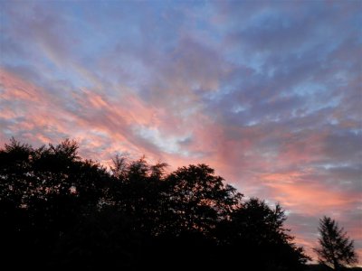 Monday sunset
