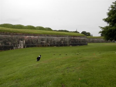 P8180866