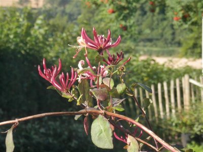 P8200941