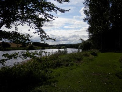 P8200964 (Medium).JPG