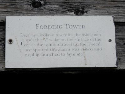 P8200976 (Medium).JPG