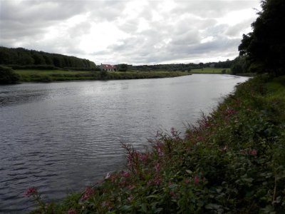 P8200991 (Medium).JPG