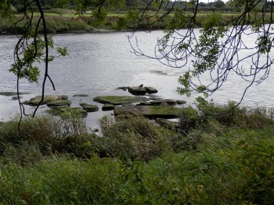P8200998 (Medium).JPG