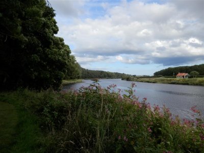 P8201002 (Medium).JPG