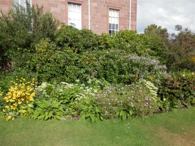 P8201017 (Medium).JPG