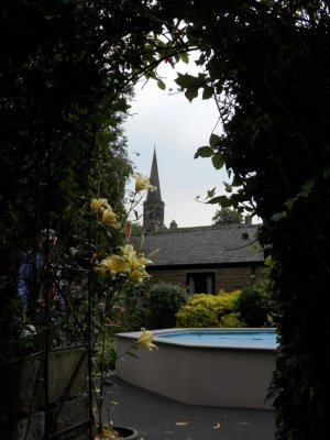 Lily by the pool, Tannery House