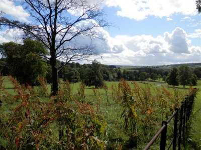 View from car park at Thornbridge Hall