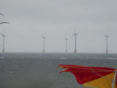 P8311543 (Medium).JPG