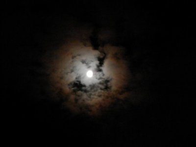 P9021575 (Medium).JPG