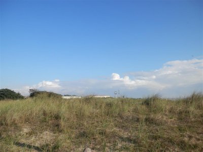 P9021580 (Medium).JPG