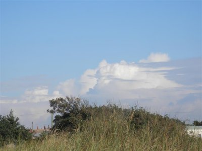 P9021581 (Medium).JPG