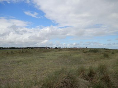 P9021618 (Medium).JPG