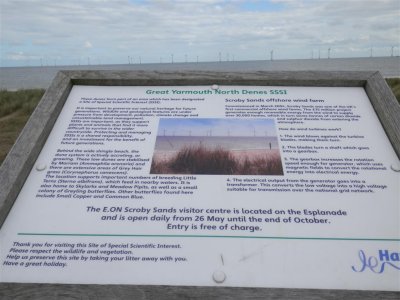 P9021632 (Medium).JPG