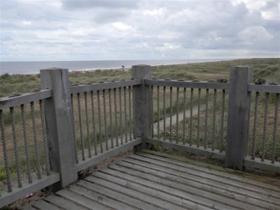 P9021633 (Medium).JPG