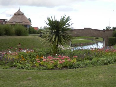 P9021655 (Medium).JPG