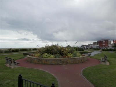 P9021658 (Medium).JPG