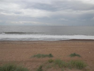 P9031690 (Medium).JPG