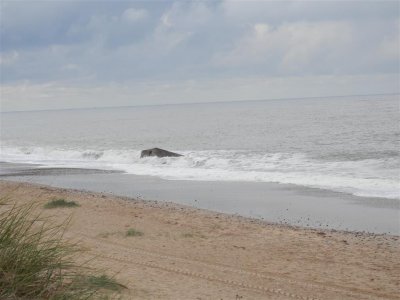 P9031692 (Medium).JPG