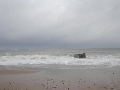 P9041713 (Medium).JPG