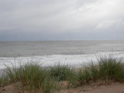 P9041748 (Medium).JPG
