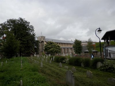 P9041783 (Medium).JPG