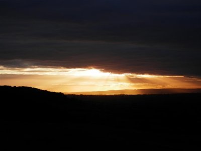 PA080410 (Medium).JPG