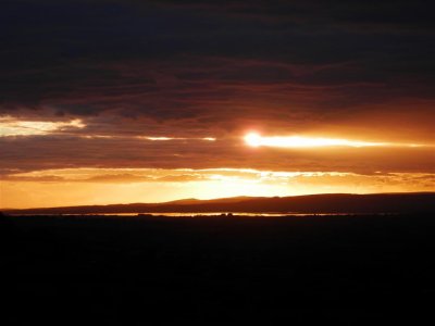 PA080422 (Medium).JPG