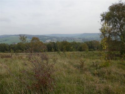 PA110751 (Medium).JPG