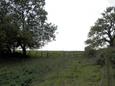 PA110776 (Medium).JPG