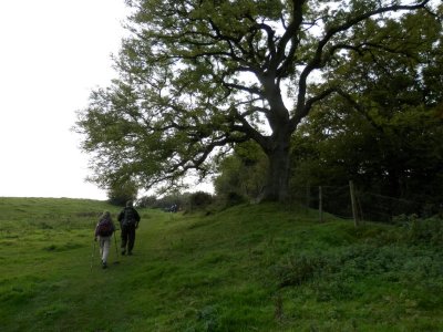 PA110778 (Medium).JPG