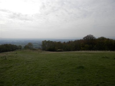 PA110795 (Medium).JPG