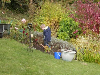 Checking out the new planting