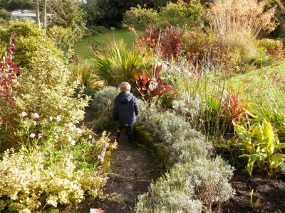 Down the lavender path