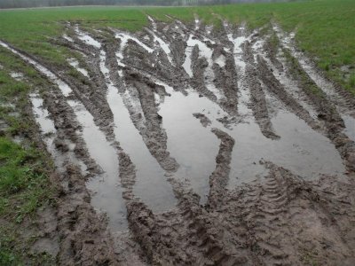 Muddy patterns