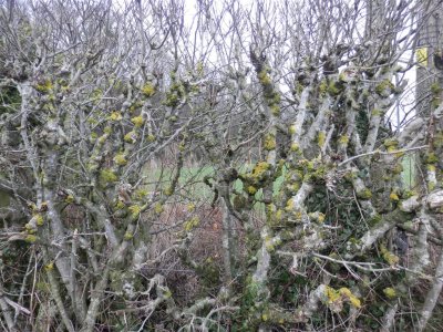P2061032