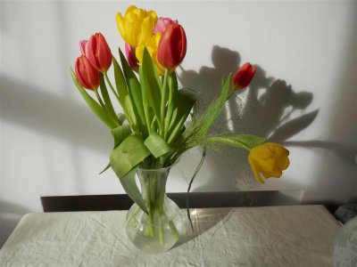 Sainsbury's rainbow tulips