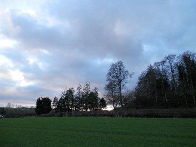 P2081078 