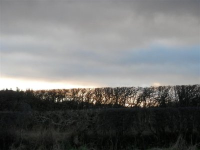 P2081083